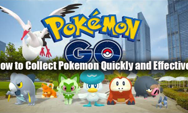 How to Collect Pokemon Quickly and Effectively